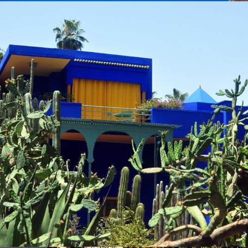 Marrakech_olive_Jardin_Majorelle