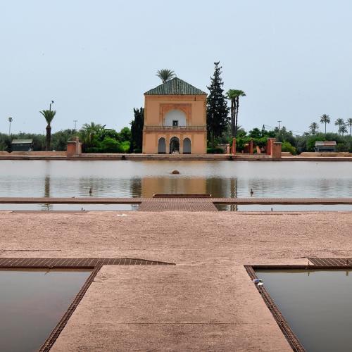 Marrakech_olive_palais