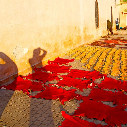 Marrakech_olive_peau_coloré